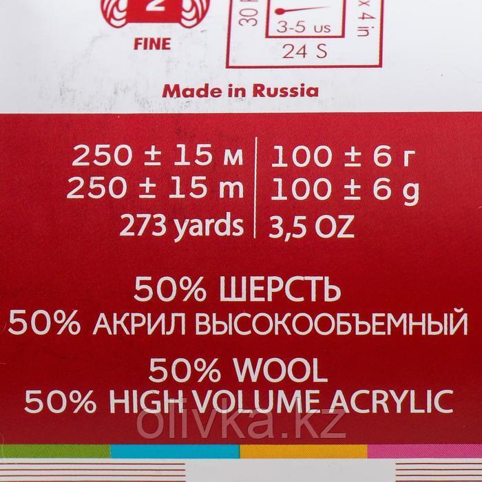 Пряжа "Подмосковная" 50% шерсть, 50% акрил 250м/100гр (08 Св.серый) - фото 4 - id-p110930035