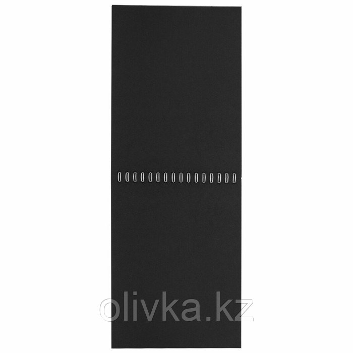 Скетчбук черная бумага 120г/м BRAUBERG ART DEBUT 205х290 мм 20л, на гребне 110995 - фото 3 - id-p110944550