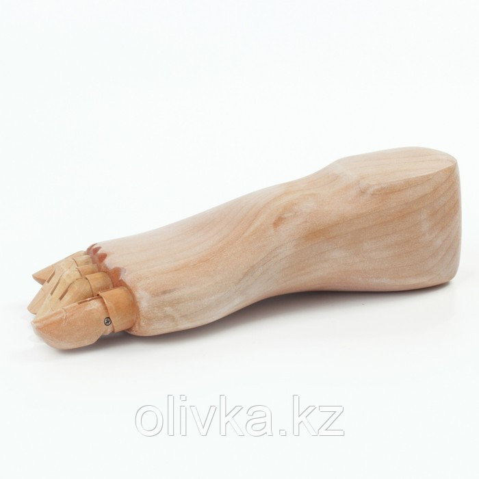 Деревянная фигура "Анатомические детали: Стопа правая мужская", длина 25 см, BRAUBERG - фото 5 - id-p110917926