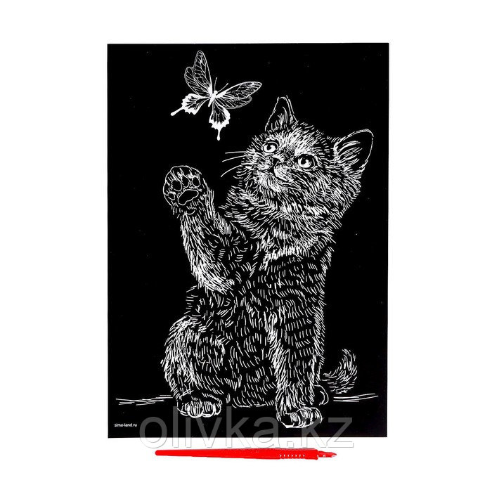 Гравюра «Котёнок с бабочкой» с эффектом голография - фото 3 - id-p110923468