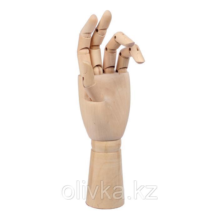 Модель деревянная рука, мужская, левая, 31 см - фото 2 - id-p110924381