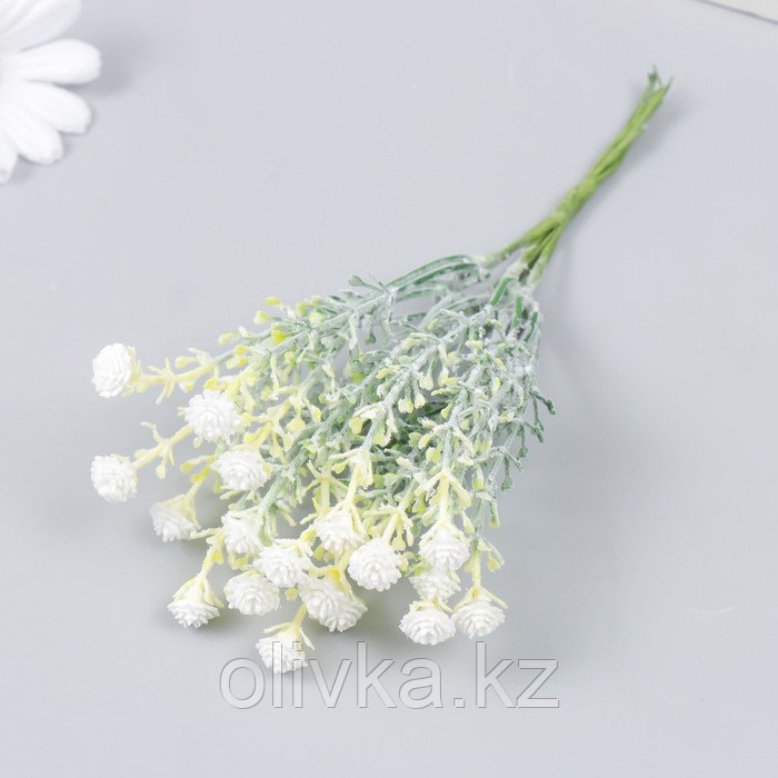 Цветы для декорирования "Гвоздика Шабо" белый 1 букет=6 головок 17 см - фото 1 - id-p110942618