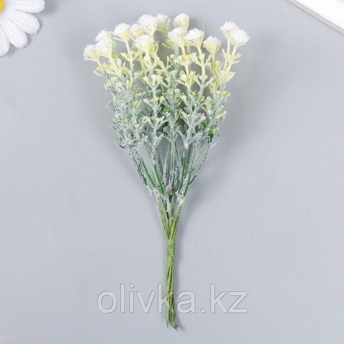 Цветы для декорирования "Гвоздика Шабо" белый 1 букет=6 головок 17 см - фото 2 - id-p110942618