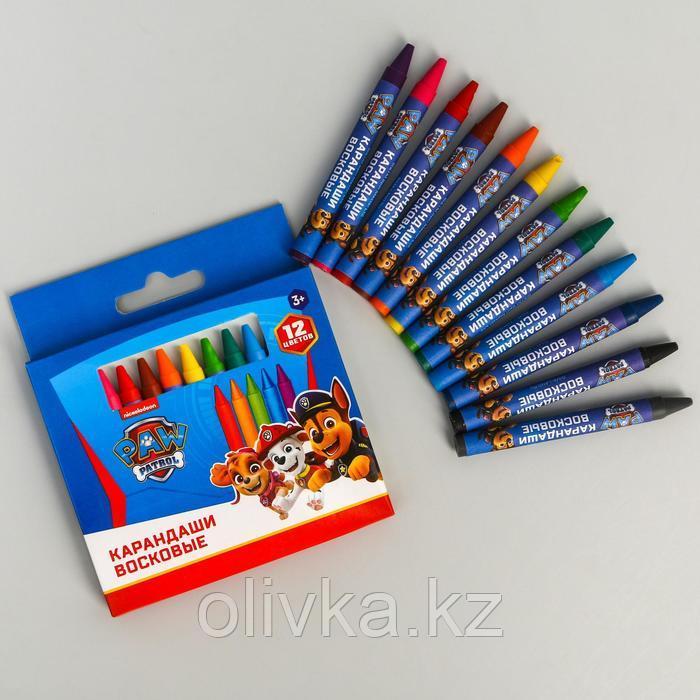 Восковые карандаши, набор 12 цветов, высота 8 см, диаметр 0,8 см, Щенячий патруль - фото 1 - id-p110926286