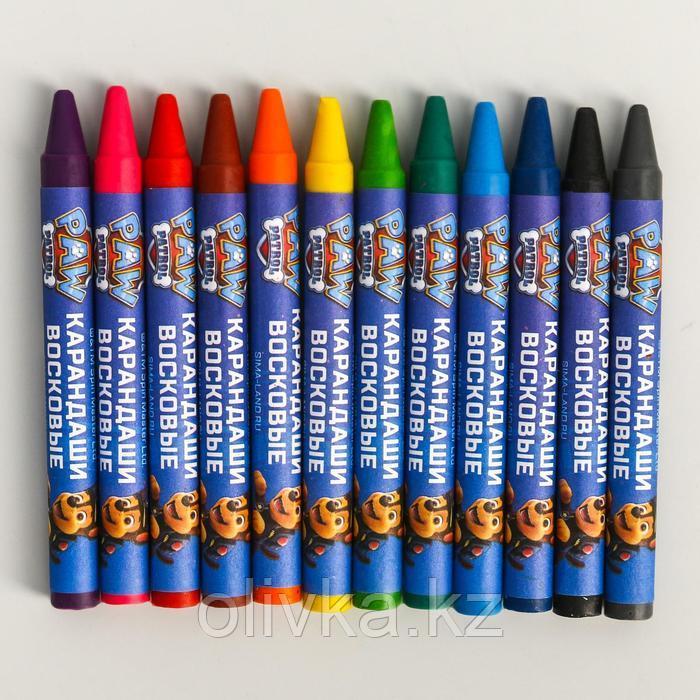 Восковые карандаши, набор 12 цветов, высота 8 см, диаметр 0,8 см, Щенячий патруль - фото 2 - id-p110926286