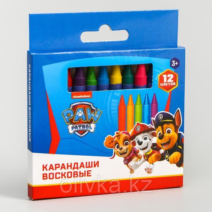 Восковые карандаши, набор 12 цветов, высота 8 см, диаметр 0,8 см, Щенячий патруль - фото 3 - id-p110926286