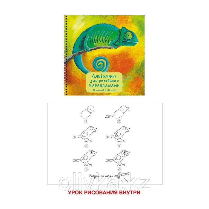 Скетчбук, квадрат 190 х 190 мм, 20 листов, на гребне, "Хамелеон", обложка мелованный картон, глянцевая - фото 1 - id-p110949608