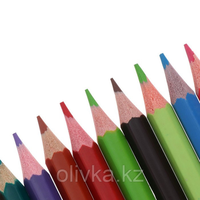 Карандаши 18 цветов Calligrata, ЭКОНОМ, заточенные, шестигранные, пластиковые, пенал-тубус и 2 чернографитных - фото 4 - id-p110942646
