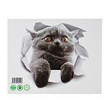 Наклейка 3Д интерьерная Кошка 25*23см, фото 2