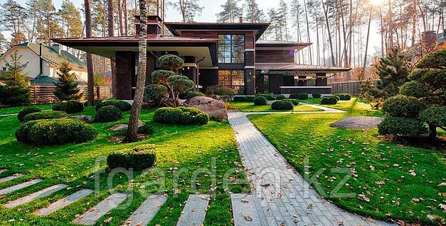 Фистинг қауіпті Жалаңаш Мария Горбан тұсқағаз