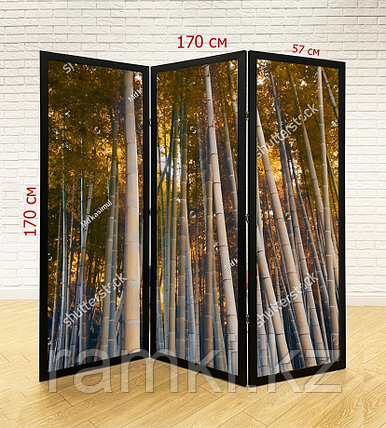 Ширма для салона красоты, SPA, массажного салона №1, фото 1