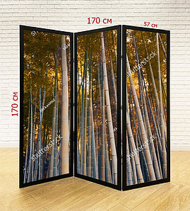 Ширма для салона красоты, SPA, массажного салона №1