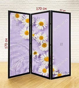 Ширма для салона красоты, SPA, массажного салона №5