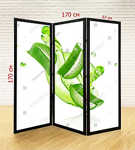 Ширма для салона красоты, SPA, массажного салона №6