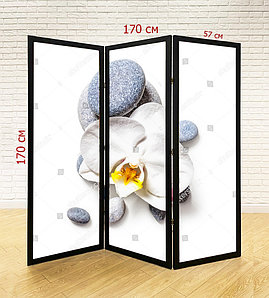 Ширма для салона красоты, SPA, массажного салона №16