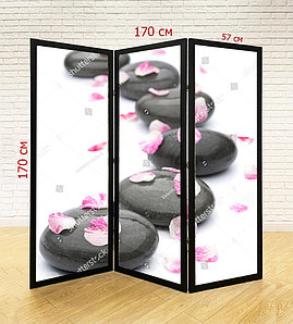 Ширма для салона красоты, SPA, массажного салона №17