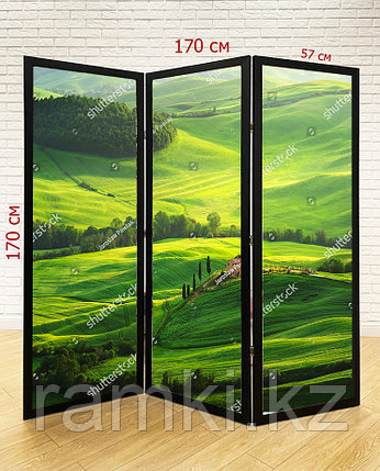Ширма с изображением пейзажей №10, фото 1