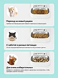 Кормушка автоматическая для питомцев PKD4S, фото 7