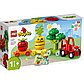 LEGO: Фруктово-овощной трактор DUPLO 10982, фото 2