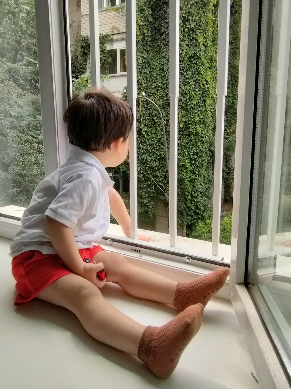 Решетки на окна TOP-RESHETKA 5х85 S (защита детей от выпадения) ширина от 40 до 70см. высота от 90 до 140 - фото 1 - id-p74295614