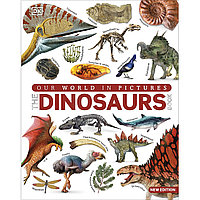 Our World in Pictures The Dinosaur Book