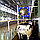 Вентилятор в коровник Gofee GFSL-1380-PM, фото 5