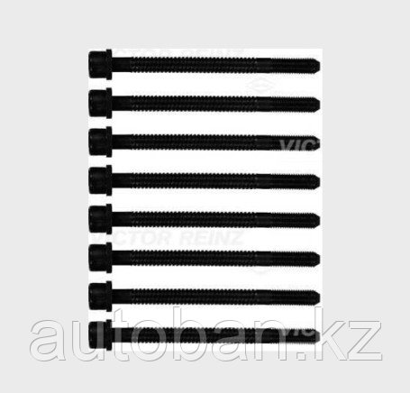 Victor REINZ комплект болтов ГБЦ 8шт на Audi 80/100/A6/A4/A8 2.6/2.8 1991>