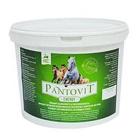 Премикс Pantovit energy 5 кг ведро