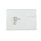 Сетевой контроллер RusGuard ACS-105-CE-S, фото 2