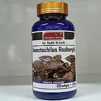 Капсулы Анектохил - Anoectochilus Roxburghii