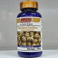 Капсулы Дендробиум - Dendrobium Candidum