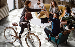 Tarkett FORCE R 0,6мм/2,5мм на вспененной основе (Производство Сербия)