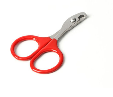 Vsegdaletta жеке жазбасы Мен жыныстық қатынас үшін жігітпен танысқым келеді.