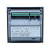 PH-9900 Контроллер pH/ОВП (-2 до 16pH; 1999мВ; -40+130С, 4-20мА, 220В 50Гц) в комплекте с ORPX-100, фото 3