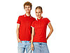 Рубашка поло Erie женская, красный, фото 5