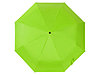 Зонт-автомат Dual с двухцветным куполом, зеленое яблоко/черный, фото 4