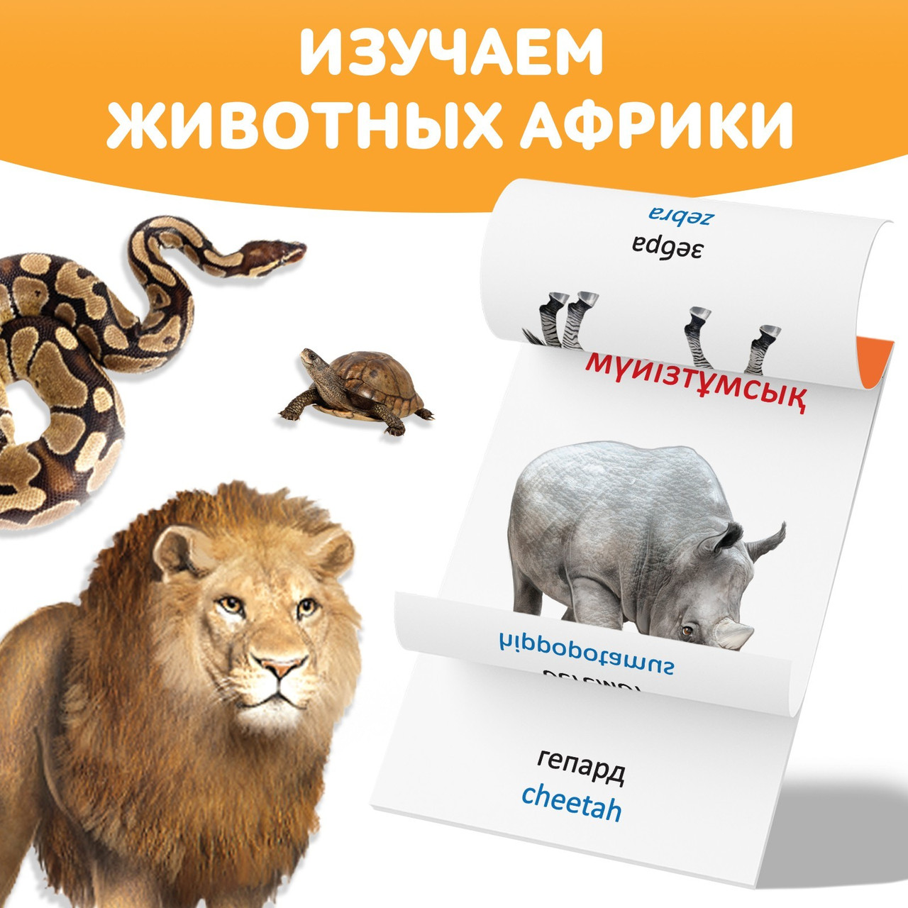 Книга по методике Г. Домана Животные Африки, на казахском языке 9828799 - фото 2 - id-p111222946