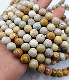 Агат хризантемовый, 8мм, фото 4