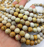 Агат хризантемовый, 8мм, фото 5