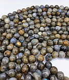 Лабрадор 10-11мм, фриформ, фото 3