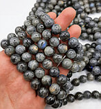 Лабрадор 9мм, фото 4