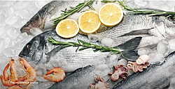 Холодильные технологии и их особенности в производстве рыбной продукции