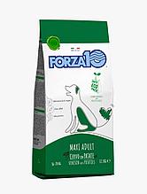 711167 Forza10 Maxi maintenance, Форца10 корм из оленины с картофелем для собак крупных пород, уп.12,5кг.