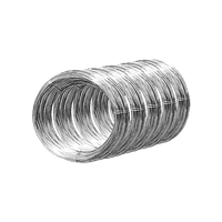 Нержавеющая проволока 0.25 мм AISI 409