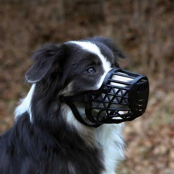 Намордник для собак Trixie пластиковый черный S 17 см - фото 3 - id-p111289361
