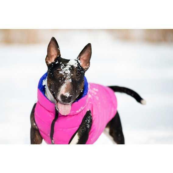 Курточка двусторонняя AiryVest для средних собак, размер M 40, розово-фиолетовая - фото 3 - id-p111289443