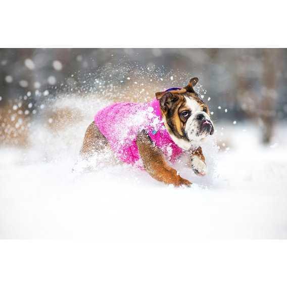 Курточка двусторонняя AiryVest для средних собак, размер M 40, розово-фиолетовая - фото 7 - id-p111289443