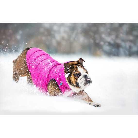 Курточка двусторонняя AiryVest для средних собак, размер M 40, розово-фиолетовая - фото 8 - id-p111289443