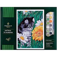 Картина по номерам Greenwich Line "Котик в цветах" А3, с акриловыми красками, картон, европодвес