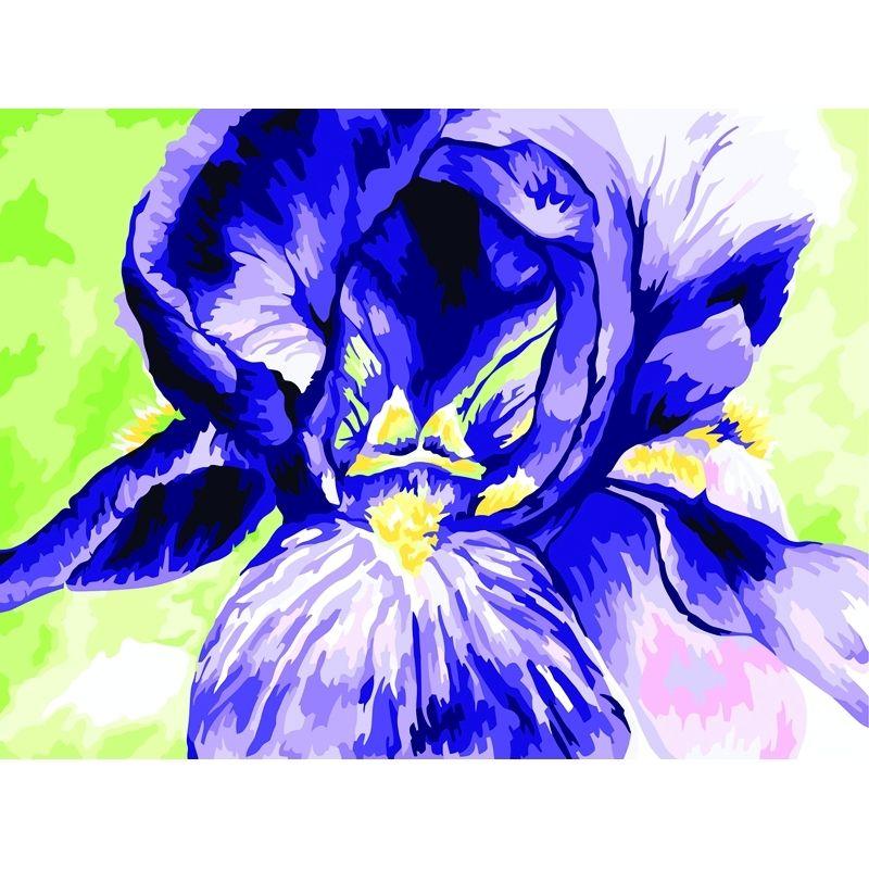 Картина по номерам на картоне ТРИ СОВЫ "Ирис", 30х40, с акриловыми красками и кистями - фото 1 - id-p111279723